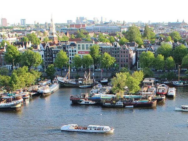 An Amsterdam Panorama - the city from afar with water, land, boats, buildings and trees.