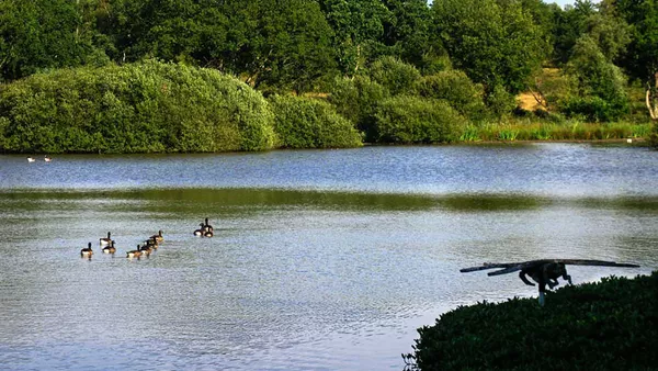 Great Stew Pond, Epsom Common, Surrey.