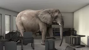 An elephant inside a business meeting room.
